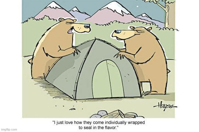 image tagged in bears,tent,camping,wrapping,flavor | made w/ Imgflip meme maker