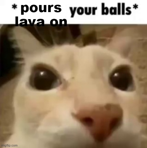 X your balls | pours lava on | image tagged in x your balls | made w/ Imgflip meme maker