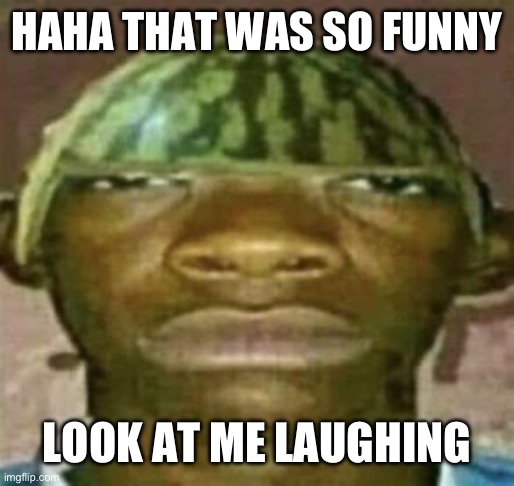 watremlon | HAHA THAT WAS SO FUNNY LOOK AT ME LAUGHING | image tagged in watremlon | made w/ Imgflip meme maker