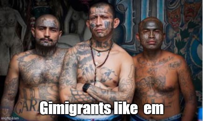 Gimigrants like  em | made w/ Imgflip meme maker