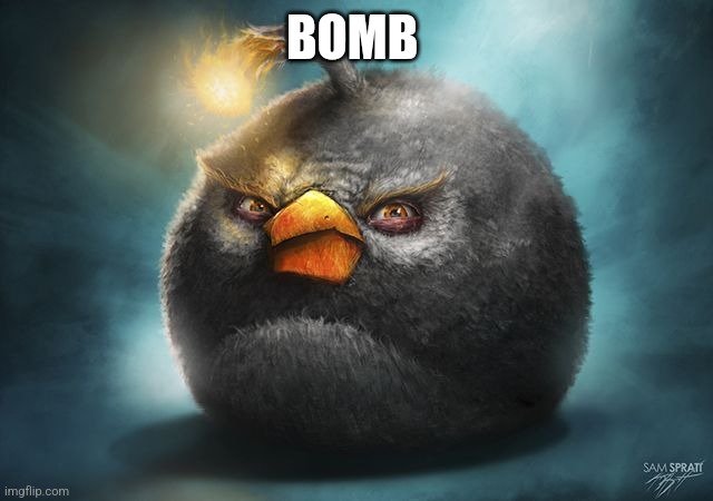 angry birds bomb | BOMB | image tagged in angry birds bomb | made w/ Imgflip meme maker