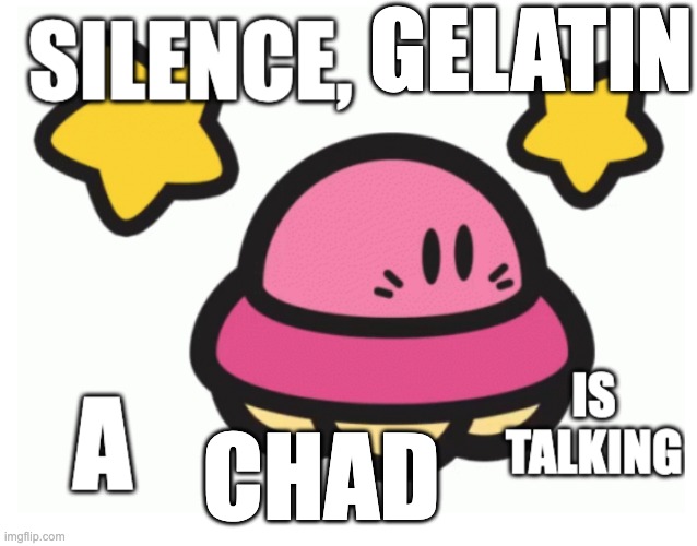 Silence X A Y is talking | GELATIN; CHAD | image tagged in silence x a y is talking | made w/ Imgflip meme maker