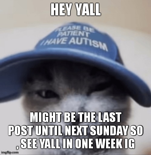 see yall i hope ,lets pray i get wifi | HEY YALL; MIGHT BE THE LAST POST UNTIL NEXT SUNDAY SO , SEE YALL IN ONE WEEK IG | image tagged in cat autism | made w/ Imgflip meme maker