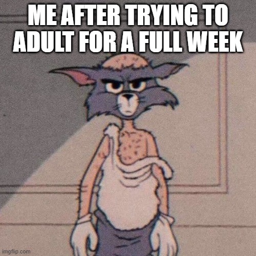 adult | ME AFTER TRYING TO ADULT FOR A FULL WEEK | image tagged in memes | made w/ Imgflip meme maker