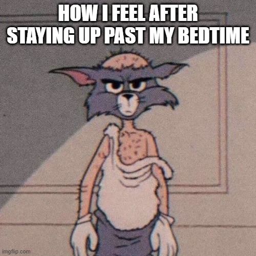 bedtime | HOW I FEEL AFTER STAYING UP PAST MY BEDTIME | image tagged in memes | made w/ Imgflip meme maker