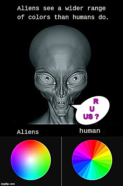 Alien Test | R
  U    
US ? | image tagged in the struggle is real | made w/ Imgflip meme maker