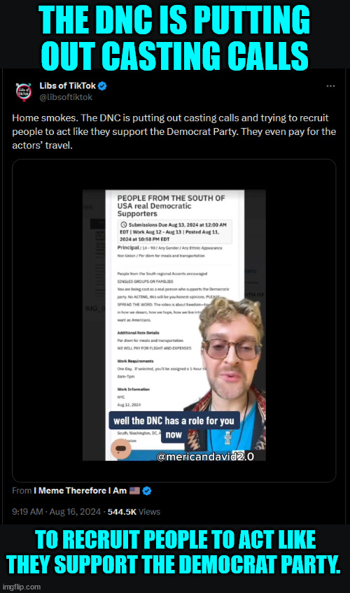 DNC paying actors to act like they support the democrat party | THE DNC IS PUTTING OUT CASTING CALLS; TO RECRUIT PEOPLE TO ACT LIKE THEY SUPPORT THE DEMOCRAT PARTY. | image tagged in dnc,paying for supporters | made w/ Imgflip meme maker