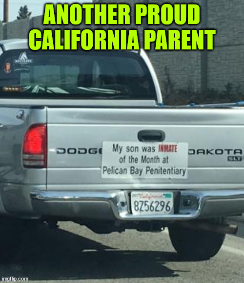 Another proud California parent | ANOTHER PROUD CALIFORNIA PARENT | image tagged in californians,love to brag,about their children | made w/ Imgflip meme maker