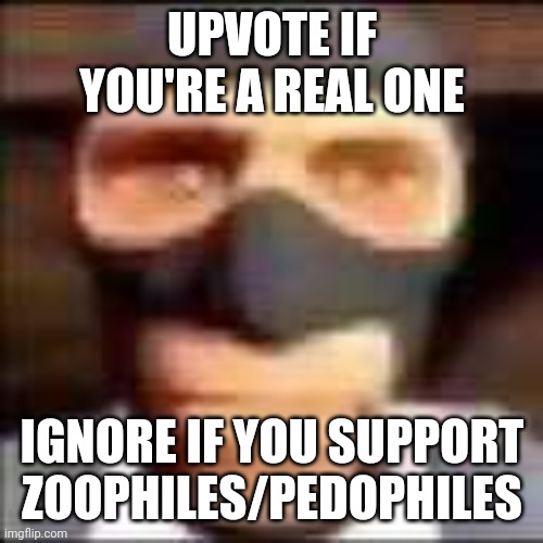 Ahem..... | UPVOTE IF YOU'RE A REAL ONE; IGNORE IF YOU SUPPORT ZOOPHILES/PEDOPHILES | image tagged in spi,memes,you the real mvp | made w/ Imgflip meme maker