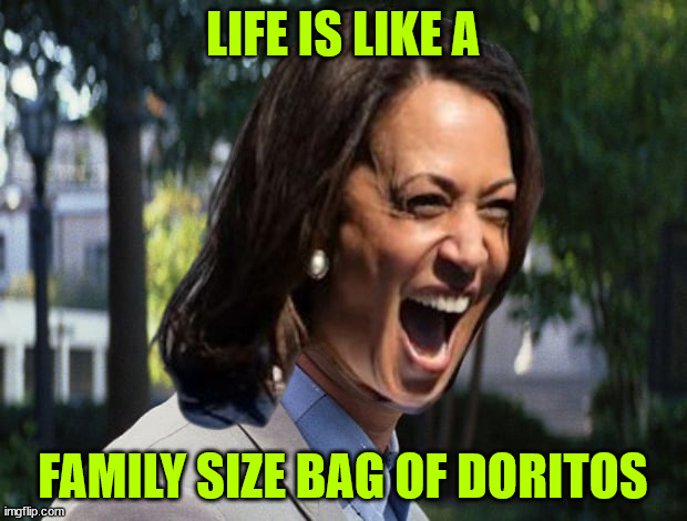 Crying in your Doritos | LIFE IS LIKE A; FAMILY SIZE BAG OF DORITOS | image tagged in life is like a big bag of doritos | made w/ Imgflip meme maker