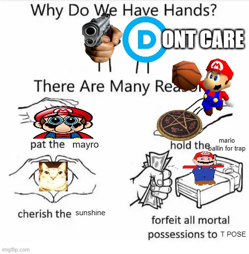 Why do we have hands? (all blank) | ONT CARE; mario ballin for trap; mayro; sunshine; T POSE | image tagged in why do we have hands all blank | made w/ Imgflip meme maker