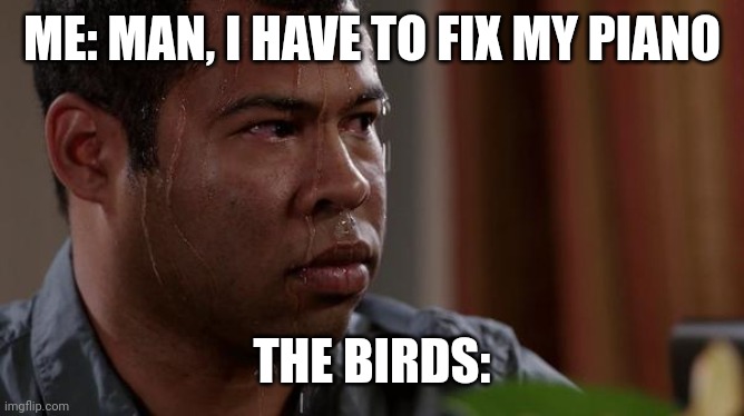 If you get this one, you are a chad | ME: MAN, I HAVE TO FIX MY PIANO; THE BIRDS: | image tagged in sweating bullets | made w/ Imgflip meme maker