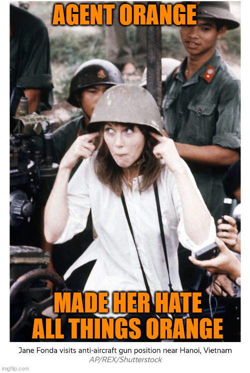 Hanoi commie Jane | AGENT ORANGE MADE HER HATE ALL THINGS ORANGE | image tagged in hanoi commie jane | made w/ Imgflip meme maker