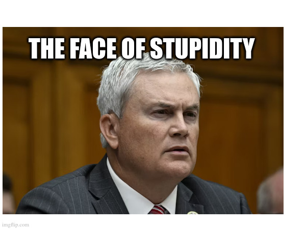 The Face of Stupidity | THE FACE OF STUPIDITY | made w/ Imgflip meme maker