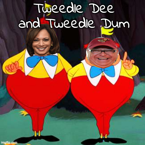 Tweedle Dee Tweedle Dum | Tweedle Dee and Tweedle Dum | image tagged in tweedle dee tweedle dum | made w/ Imgflip meme maker