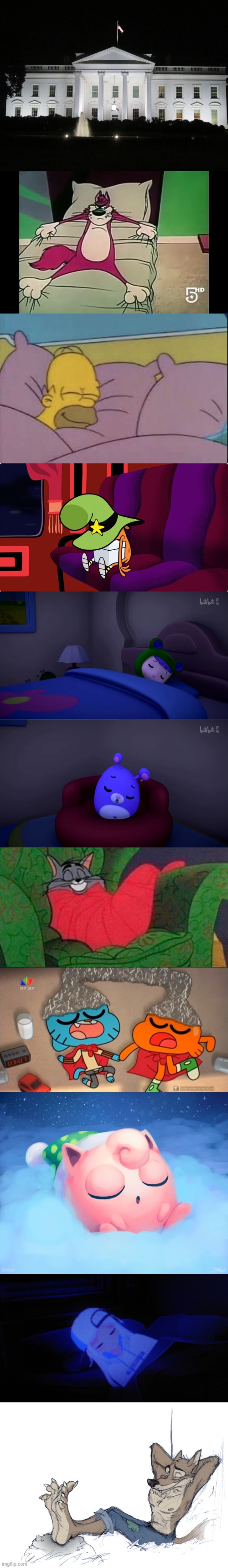 Cartoon sleeping | image tagged in white house at night,angry cat in the bed,how i sleep homer simpson,wander sleeps on a box,rubi sleeping,yoyo sleeping | made w/ Imgflip meme maker