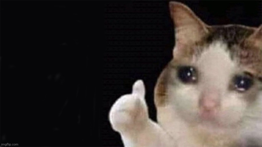 Thumbs up crying cat | image tagged in thumbs up crying cat | made w/ Imgflip meme maker