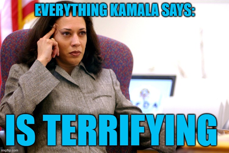 Kamala is terrifying! | EVERYTHING KAMALA SAYS:; IS TERRIFYING | image tagged in the kamala's plan | made w/ Imgflip meme maker