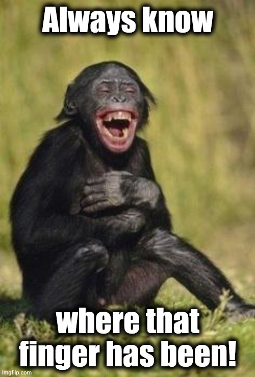 Laughing monkey | Always know where that finger has been! | image tagged in laughing monkey | made w/ Imgflip meme maker