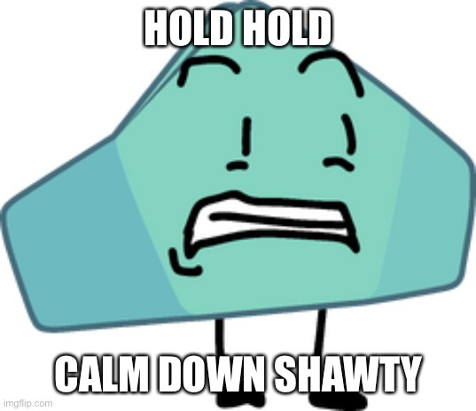 High Quality Hold hold calm down shawty Blank Meme Template