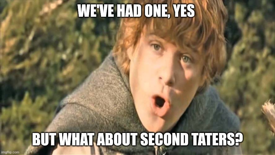 Samwise Gamgee | WE'VE HAD ONE, YES; BUT WHAT ABOUT SECOND TATERS? | image tagged in samwise gamgee | made w/ Imgflip meme maker