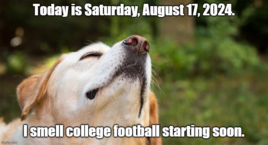 It's on its way! | Today is Saturday, August 17, 2024. I smell college football starting soon. | image tagged in college football | made w/ Imgflip meme maker