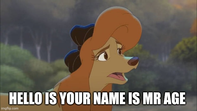 Is your name is Mr age | HELLO IS YOUR NAME IS MR AGE | image tagged in dixie is like who are you,the fox and the hound 2 | made w/ Imgflip meme maker