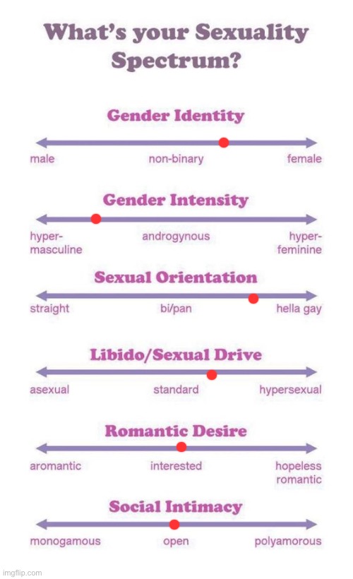 What's your sexuality spectrum? | image tagged in what's your sexuality spectrum | made w/ Imgflip meme maker