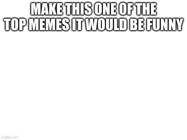 top meme | MAKE THIS ONE OF THE TOP MEMES IT WOULD BE FUNNY | image tagged in fun | made w/ Imgflip meme maker