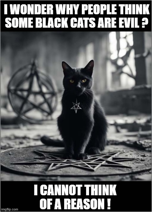 There Is Superstition ... | I WONDER WHY PEOPLE THINK
SOME BLACK CATS ARE EVIL ? I CANNOT THINK OF A REASON ! | image tagged in cats,black cat,superstition | made w/ Imgflip meme maker