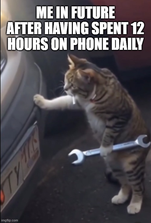 Me in future after spending 12 hours on phone daily now | ME IN FUTURE AFTER HAVING SPENT 12 HOURS ON PHONE DAILY | image tagged in garage cat,funny,funny memes,not funny,sad,sad but true | made w/ Imgflip meme maker