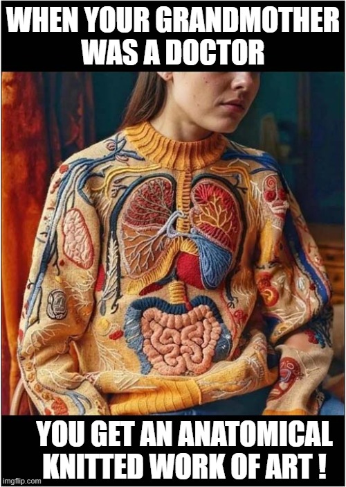 A Very Impressive Gift ! | WHEN YOUR GRANDMOTHER
WAS A DOCTOR; YOU GET AN ANATOMICAL KNITTED WORK OF ART ! | image tagged in knitting,anaotomy,gift | made w/ Imgflip meme maker