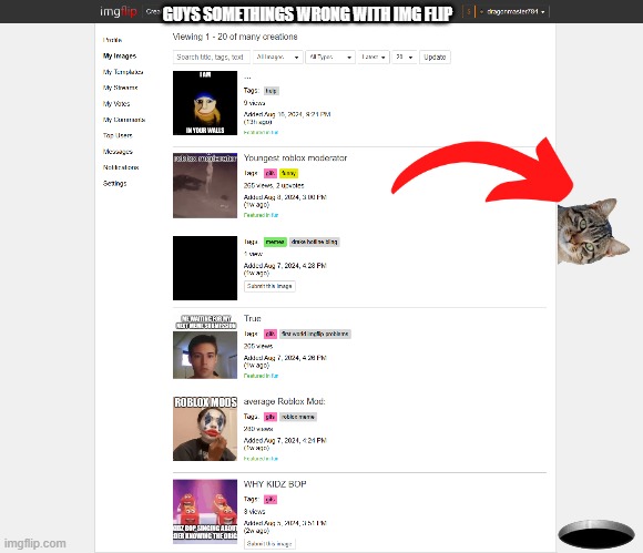 Why is there a cat on my screen??? | GUYS SOMETHINGS WRONG WITH IMG FLIP | image tagged in weird,imgflip | made w/ Imgflip meme maker
