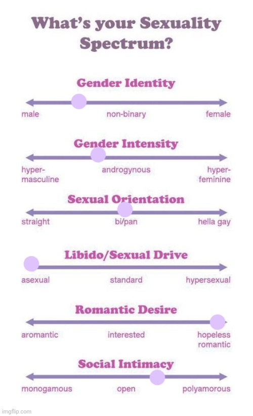 What's your sexuality spectrum? | image tagged in what's your sexuality spectrum | made w/ Imgflip meme maker