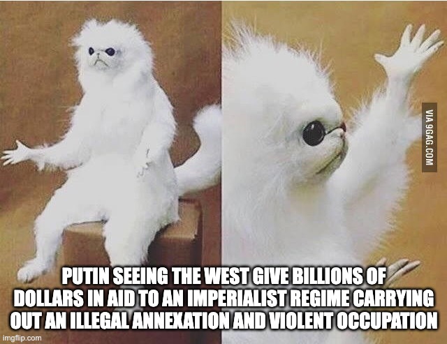 Confused Monkey / Cat | PUTIN SEEING THE WEST GIVE BILLIONS OF DOLLARS IN AID TO AN IMPERIALIST REGIME CARRYING OUT AN ILLEGAL ANNEXATION AND VIOLENT OCCUPATION | image tagged in confused monkey / cat | made w/ Imgflip meme maker