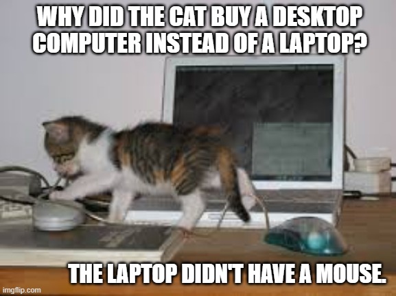 memes by Brad - The cat bought a desktop computer because it had a mouse | WHY DID THE CAT BUY A DESKTOP COMPUTER INSTEAD OF A LAPTOP? THE LAPTOP DIDN'T HAVE A MOUSE. | image tagged in funny,cats,kittens,computer,mouse,humor | made w/ Imgflip meme maker