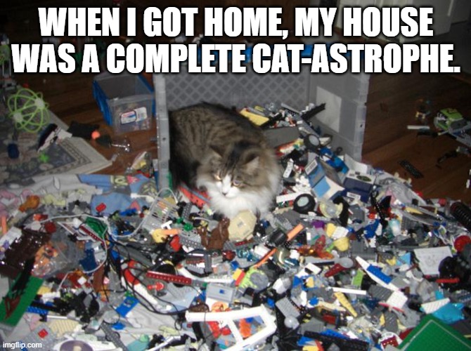 memes by Brad - I got home and my house was a cat-astrophe | WHEN I GOT HOME, MY HOUSE WAS A COMPLETE CAT-ASTROPHE. | image tagged in funny,cats,kittens,funny cat memes,cute kittens,humor | made w/ Imgflip meme maker