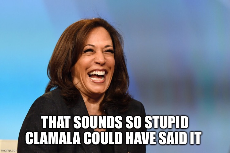 Kamala Harris laughing | THAT SOUNDS SO STUPID CLAMALA COULD HAVE SAID IT | image tagged in kamala harris laughing | made w/ Imgflip meme maker