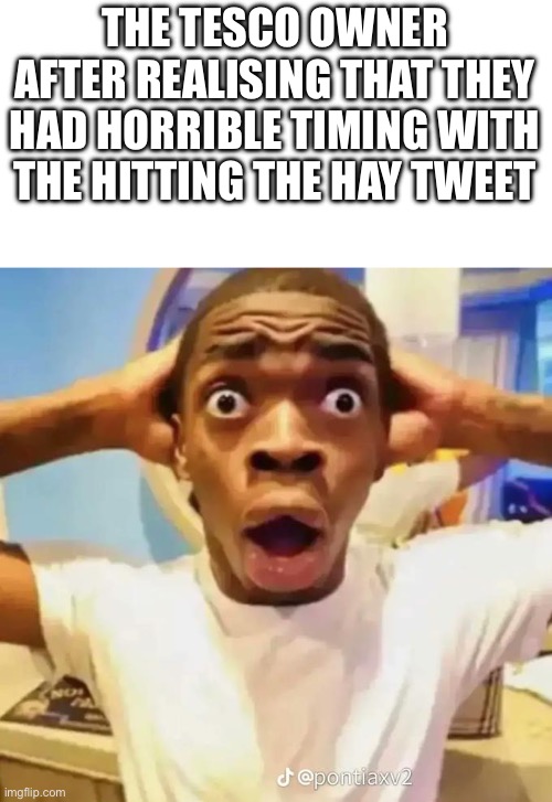 Shocked black guy | THE TESCO OWNER AFTER REALISING THAT THEY HAD HORRIBLE TIMING WITH THE HITTING THE HAY TWEET | image tagged in shocked black guy | made w/ Imgflip meme maker
