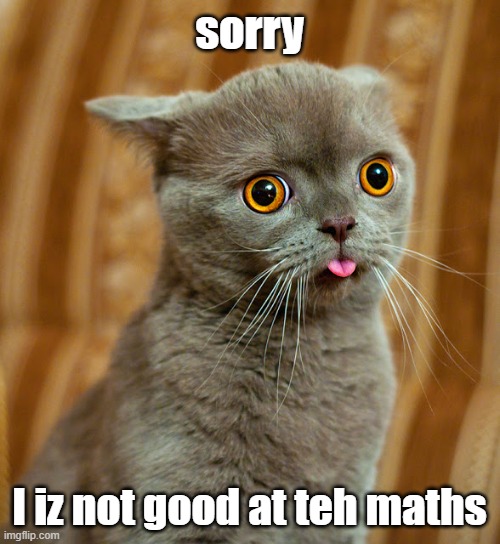 More Dumb Cat | sorry I iz not good at teh maths | image tagged in more dumb cat | made w/ Imgflip meme maker