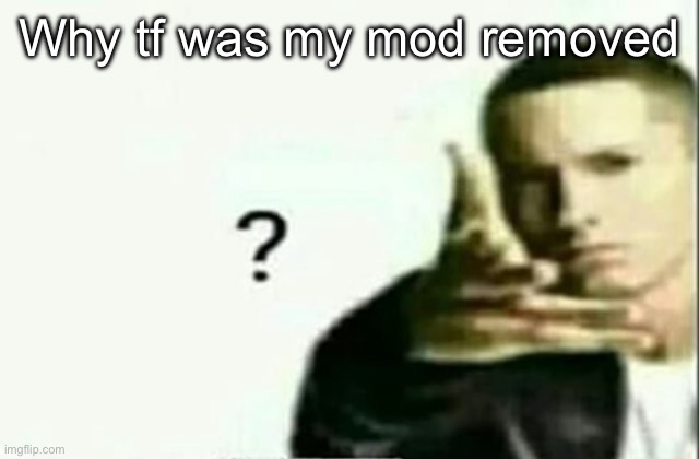 Eminem ? Lq | Why tf was my mod removed | image tagged in eminem lq | made w/ Imgflip meme maker