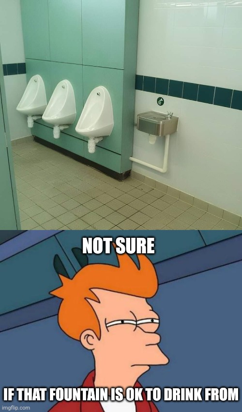 Thirsty? | NOT SURE; IF THAT FOUNTAIN IS OK TO DRINK FROM | image tagged in memes,futurama fry,urinal,water,fountain,bathroom humor | made w/ Imgflip meme maker