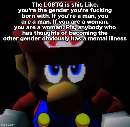 LGBTQ is for People who just got a lobotomy smh | The LGBTQ is shit. Like, you’re the gender you’re fucking born with. If you’re a man, you are a man. If you are a woman, you are a woman. Ffs, anybody who has thoughts of becoming the other gender obviously has a mental illness | image tagged in sm64 mario staring | made w/ Imgflip meme maker