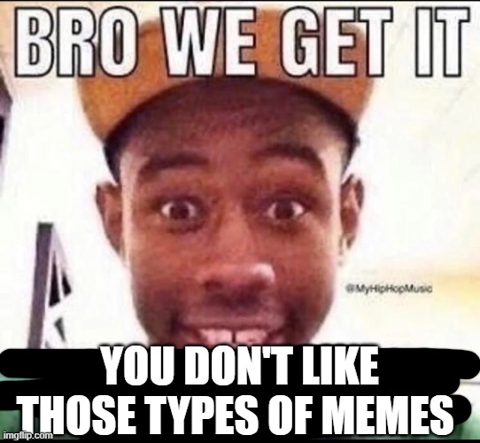 BRO WE GET IT YOU'RE GAY | YOU DON'T LIKE THOSE TYPES OF MEMES | image tagged in bro we get it you're gay | made w/ Imgflip meme maker