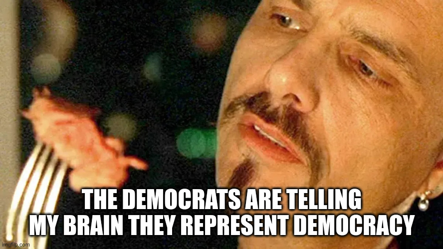 THE DEMOCRATS ARE TELLING MY BRAIN THEY REPRESENT DEMOCRACY | image tagged in matrix cypher | made w/ Imgflip meme maker