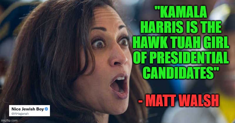 Great quote - works on many levels | "KAMALA HARRIS IS THE HAWK TUAH GIRL OF PRESIDENTIAL CANDIDATES"; - MATT WALSH | image tagged in kamala harriss,hawk tuah,commie | made w/ Imgflip meme maker