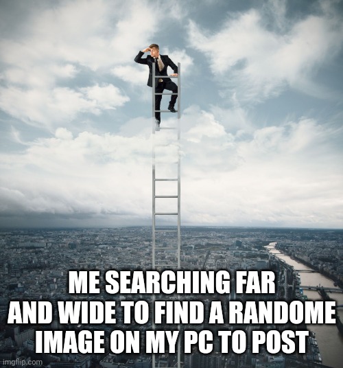 yes | ME SEARCHING FAR AND WIDE TO FIND A RANDOME IMAGE ON MY PC TO POST | image tagged in searching | made w/ Imgflip meme maker