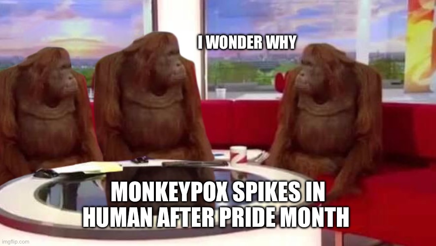 where monkey | I WONDER WHY; MONKEYPOX SPIKES IN HUMAN AFTER PRIDE MONTH | image tagged in where monkey,monkeypox,gay pride,pride month,political meme | made w/ Imgflip meme maker