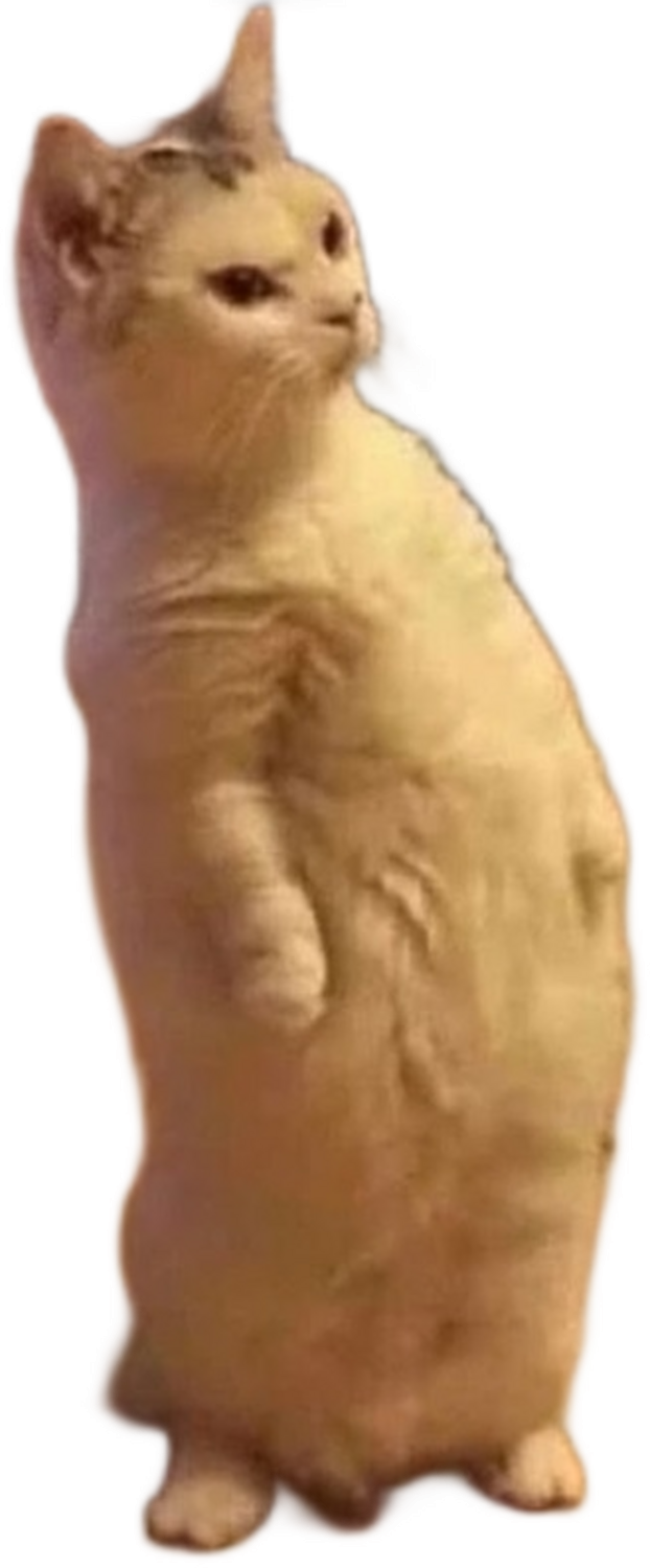 Gato amarillo parado en dos patas Blank Meme Template