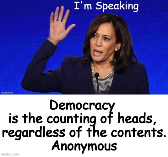 Democracy 'In a Nutshell' . . . | Democracy 
is the counting of heads, 
regardless of the contents.
Anonymous | image tagged in political humor,kamala harris,double entendre,america,democracy,deez nuts | made w/ Imgflip meme maker